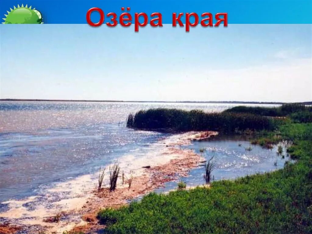 Озеро маныч гудило калмыкия. Озеро маныч-гудило ставропольский край. Ростовский заповедник маныч гудило. Остров водный ростовская область. Соленое озеро маныч-гудило.