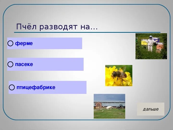 Тест на тему животноводство 3 класс окружающий