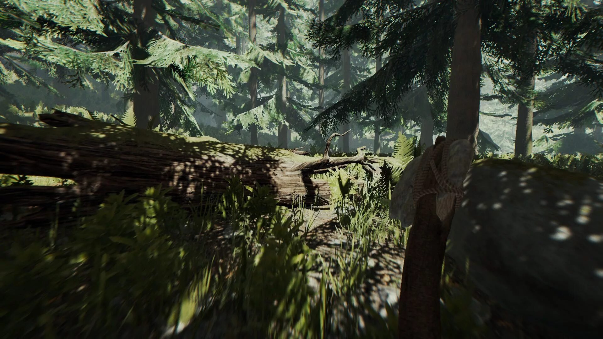 P forest. Forrest игра. форест 1.12. the forest версия 1.12. зе форест 4.