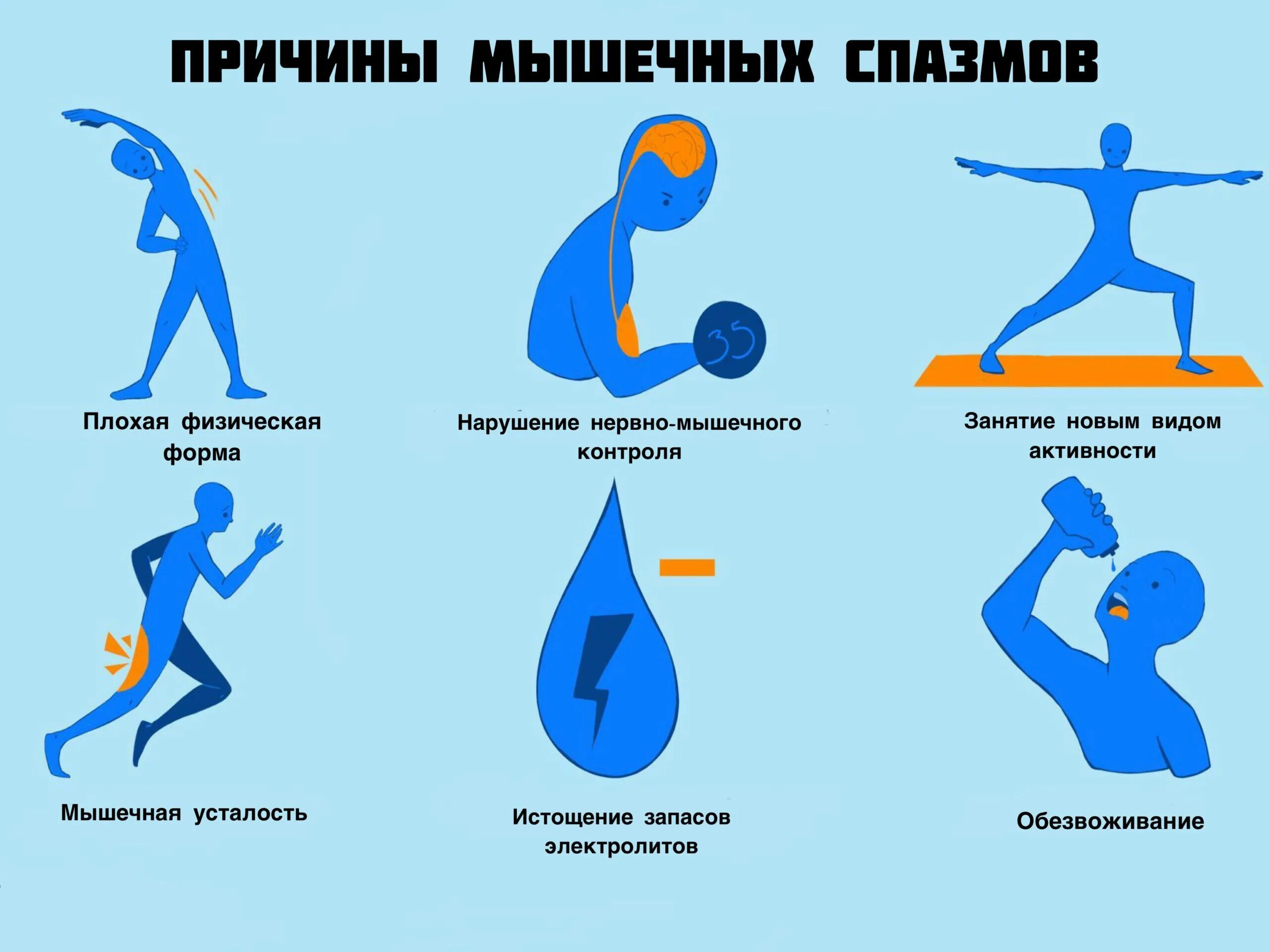 Что вызывает двигательную тошноту
