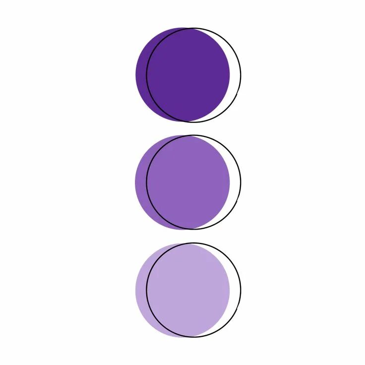 Purple pointed bss