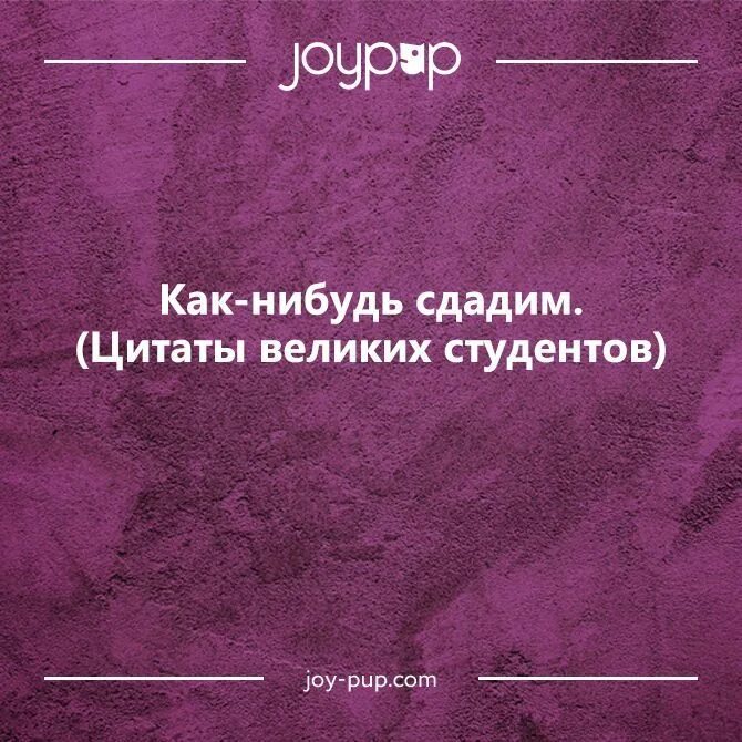 От сессии до сессии живут студенты. Афоризмы про студентов. Высказывания о студентах. Фразы студентов. Цитаты про студенческую жизнь.