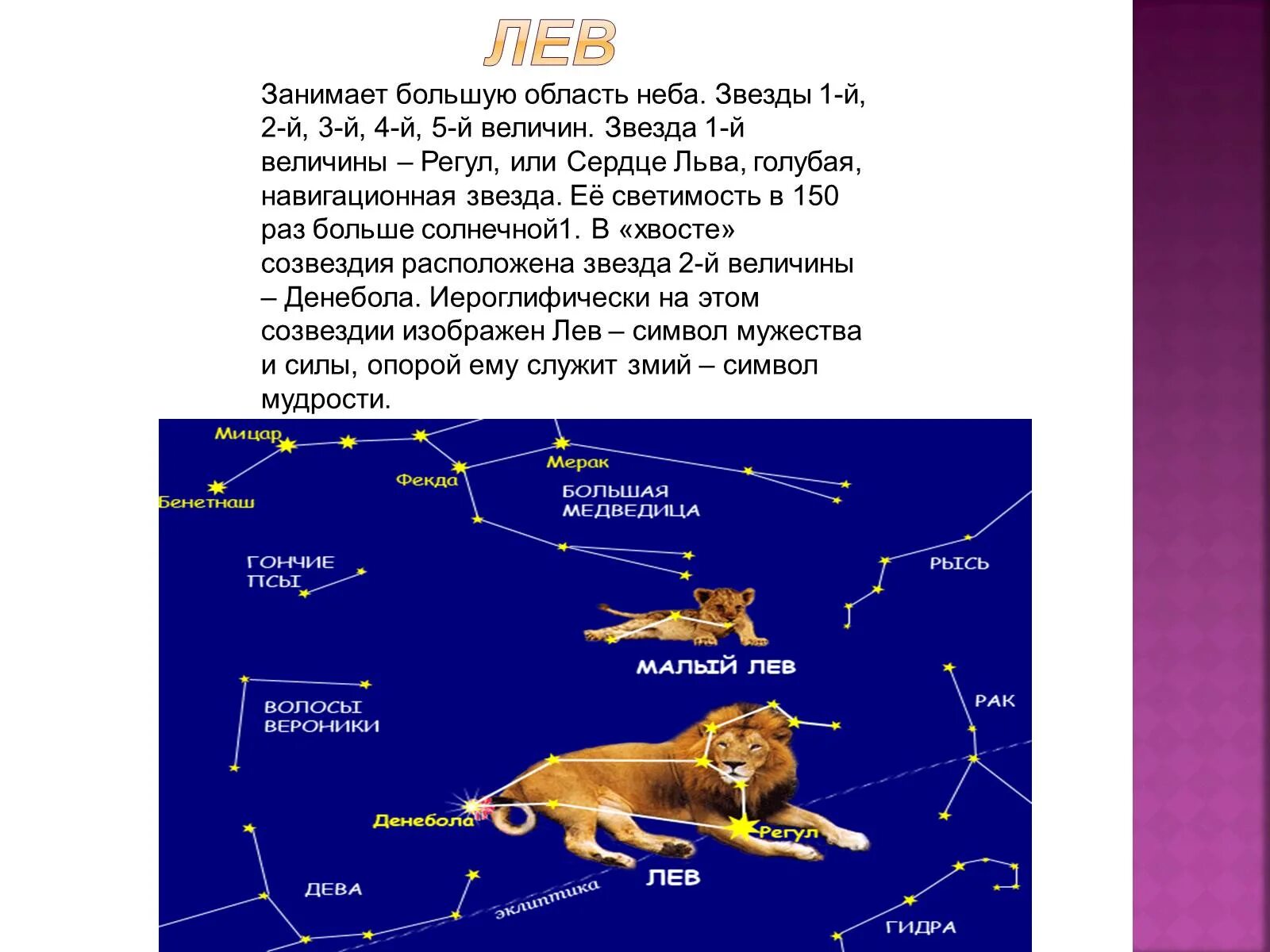 Осенние созвездия рассказы. Рассказ о созвездии весеннего неба Лев 2 класс. Рассказ об одном из созвездий весеннего неба 2 класс Лев. Рассказ об одном из созвездий весеннего неба 2 класс окружающий. Рассказ об одном из созвездий весеннего неба для второго класса.