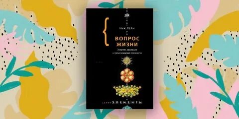 Книга вопрос жизни