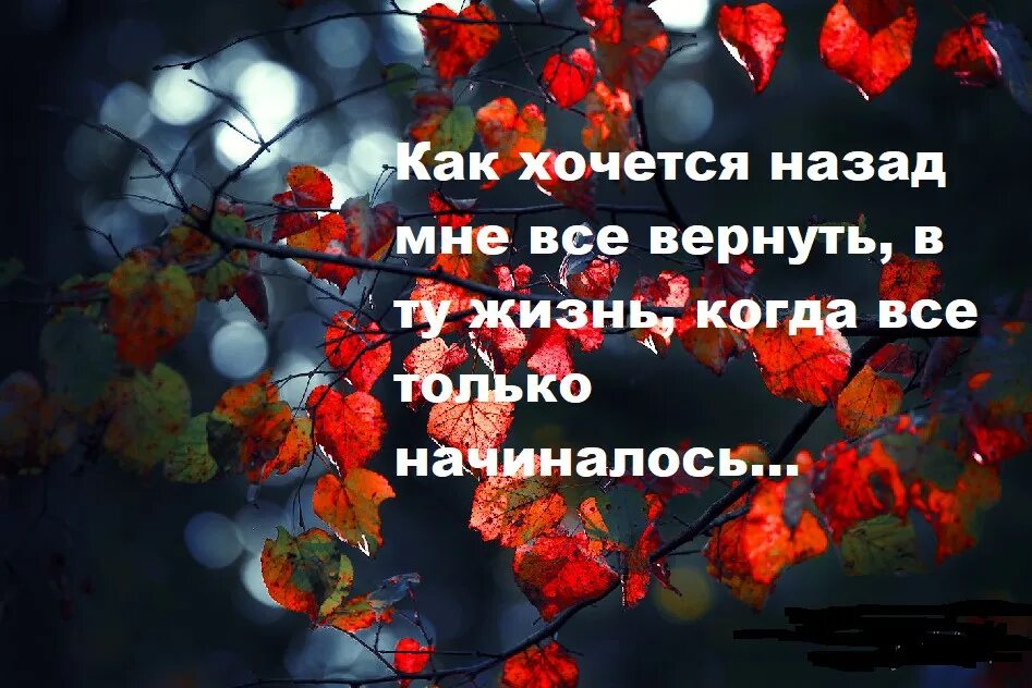 Как вернуть жизнь обратно. Как хочется вернуть все назад. время не вернуть. вернуть бы время. вепнутьтбы время назад цитаты.
