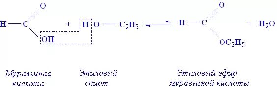 Муравьиная кислота этиловый эфир муравьиной кислоты реакция