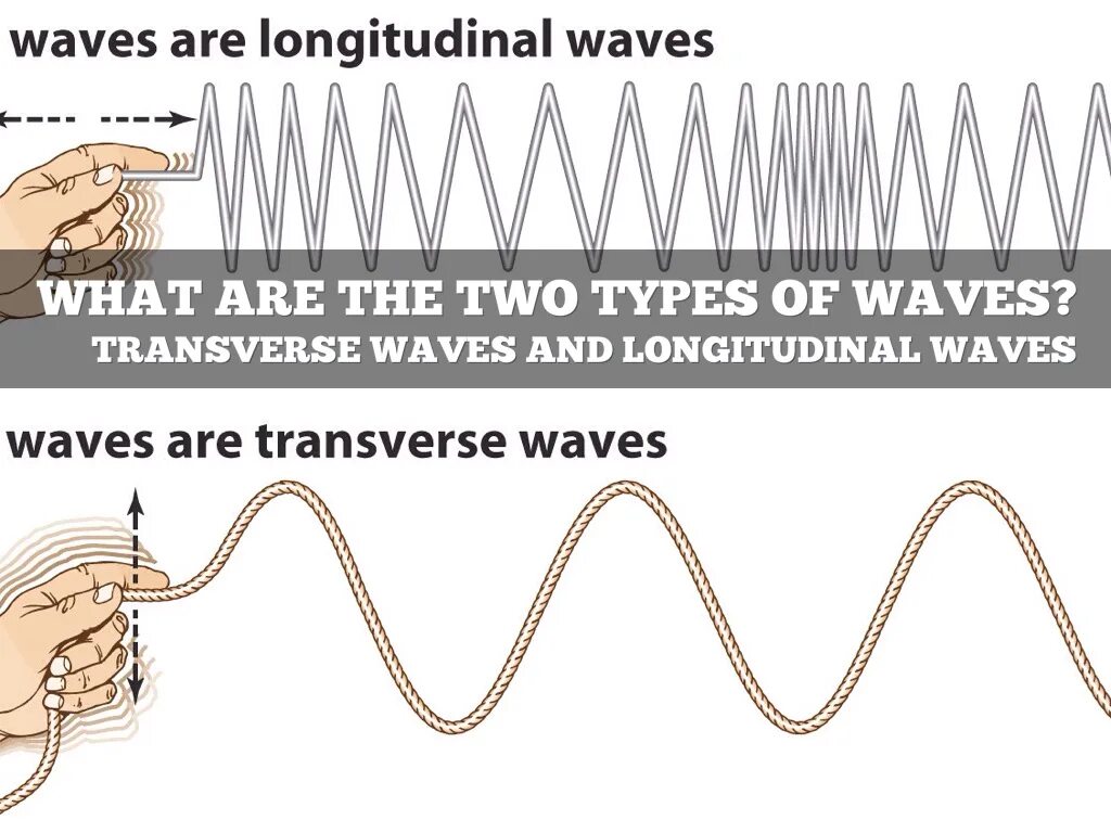 Spins waves waves. Longitudinal Wave. Transverse and longitudinal Waves. Types of Waves. Mechanical Waves transverse and longitudinal Waves.