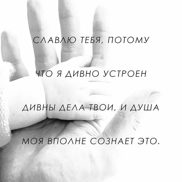 Дивно. Славлю тебя потому что я дивно устроен. Славлю тебя. Дивно устроен. Славлю тебя Господи потому что я дивно устроен картинки.