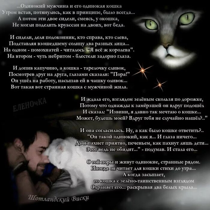Стихотворение я кошка. Стихотворение я кошка. Стих о коте. Женщина как кошка стихи. Стихотворение про кошку и кота.