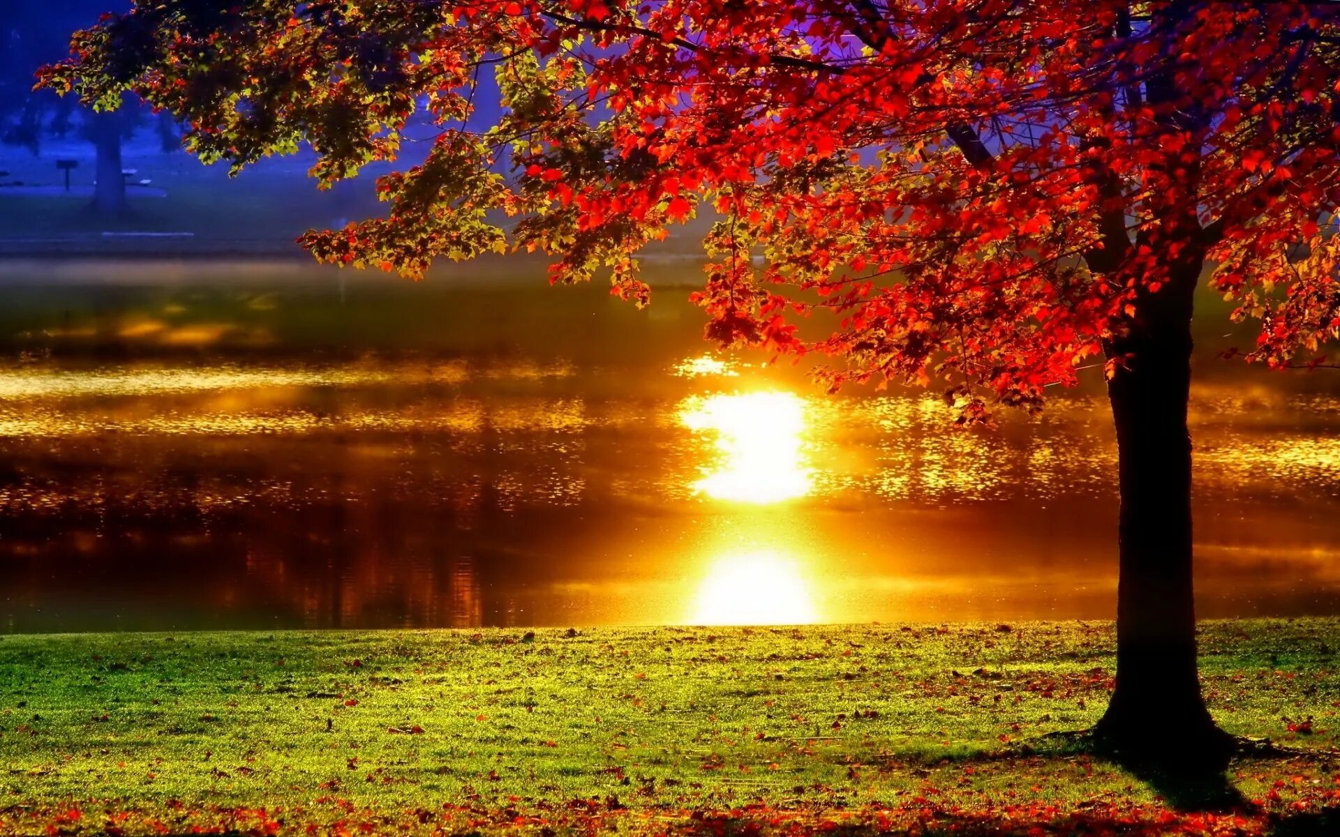Добрый вечер солнце. Осенний закат. Солнечная осень. Осенний рассвет. Красивая осень.