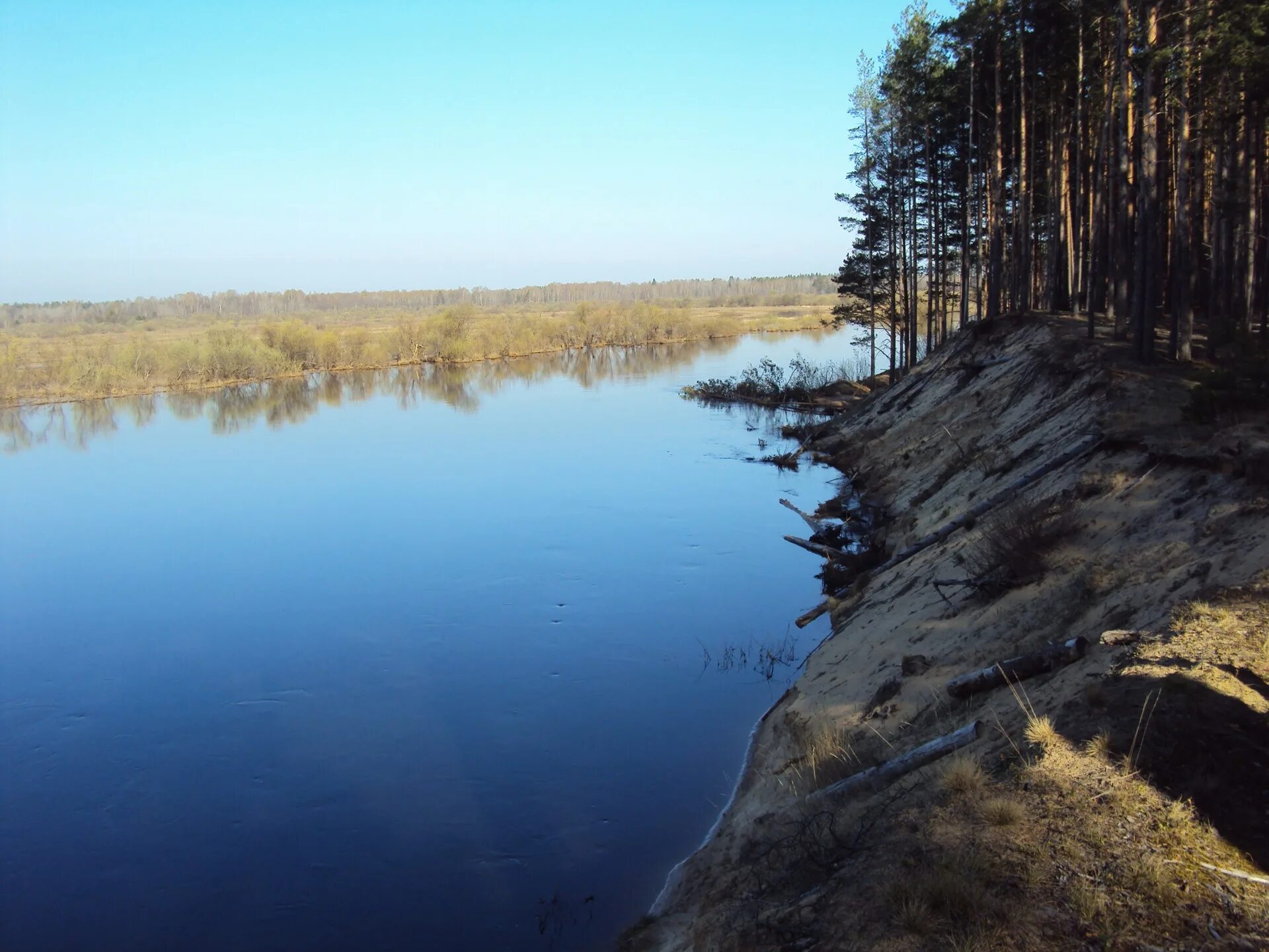 Молога притоки. Река Молога Пестово. Пестово Новгородской области река Молога. Река малуга Пестовский район. Река Молога Вологодская.