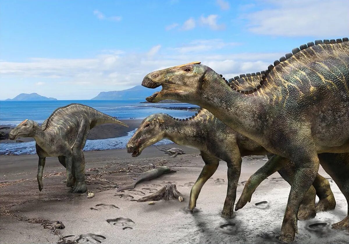 Когда жили динозавры видео. Гадрозавр динозавр. Утконосый динозавр. Гадрозавр Утконос. Kerberosaurus manakini.