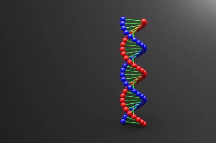 Модель ДНК из пластилина. Макет ДНК. Молекула ДНК. Модель ДНК из бисера.