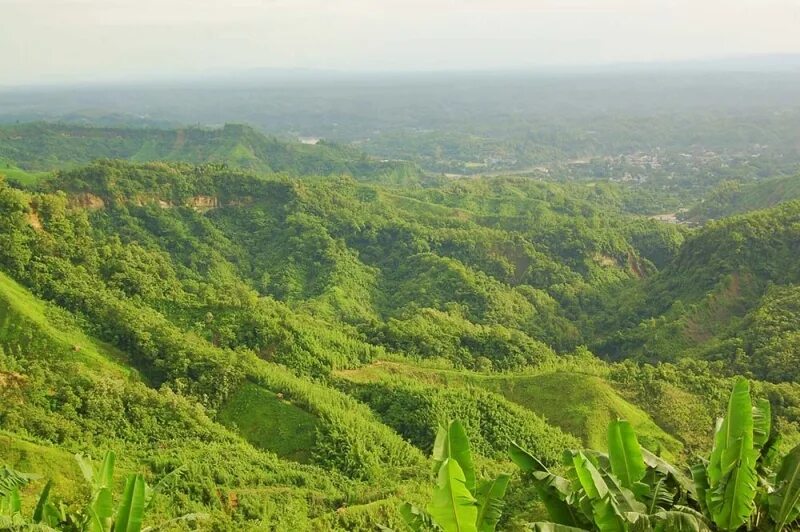 Мовдок горный массив бангладеш. Природный климат бангладеш. Бангладеш природа. Ландшафт бангладеша. Бангладеш красивые места.
