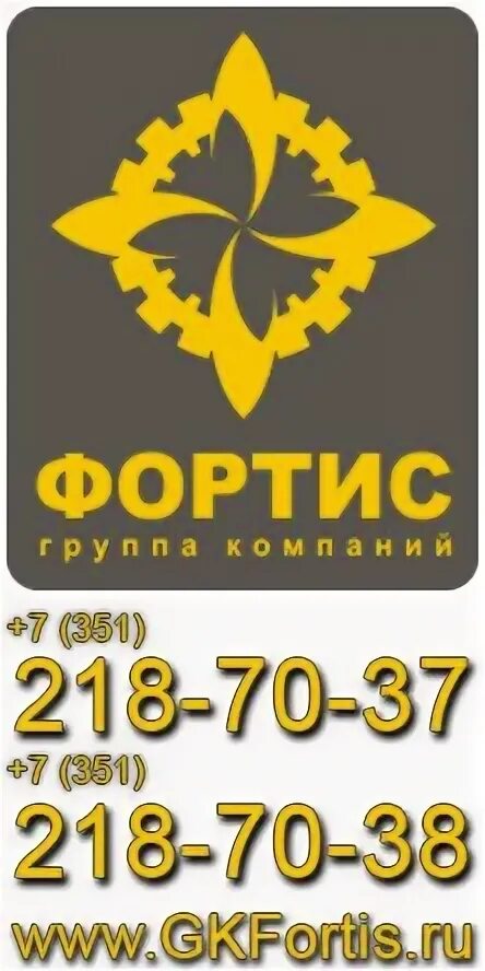 Страна девелопмент екатеринбург. Гк фортис. Шило девелопмент екатеринбург. Саранск fortis. Фортис транспортная компания.