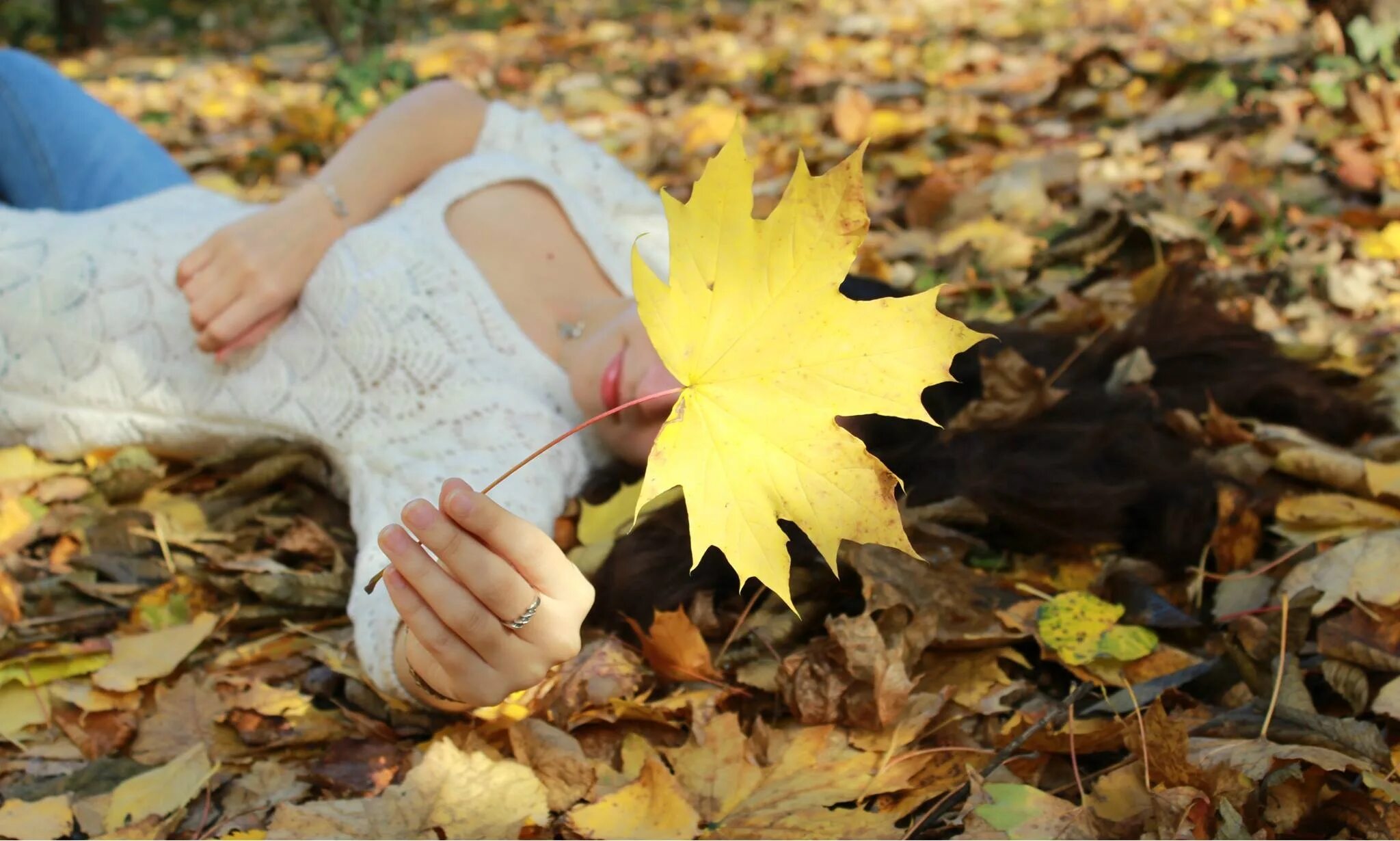Фотосессия с кленовыми листьями. Осенние листья в руках девушки. Девушка с листом. Девушка с листьями осень.