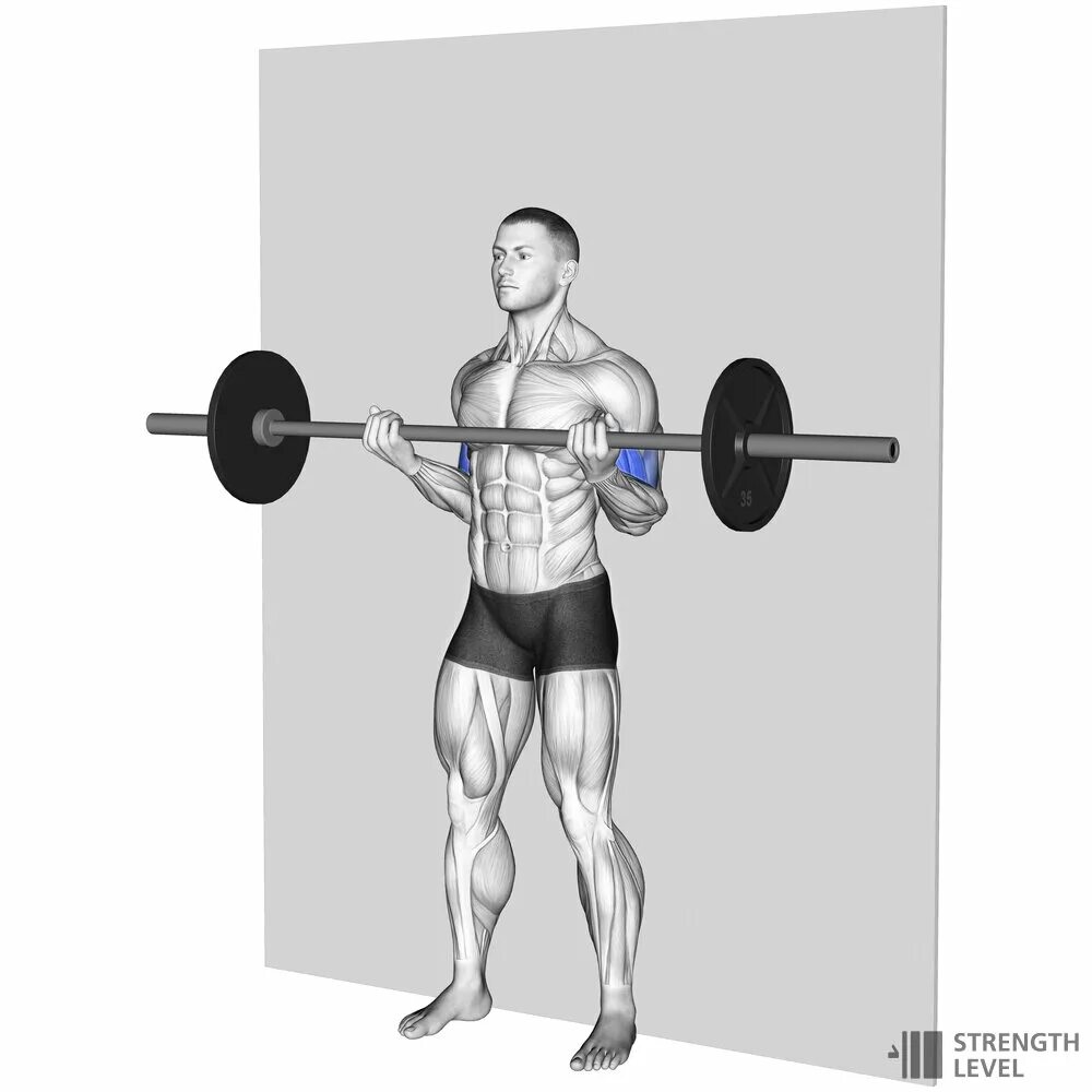 Barbell curl. Strict curl.
