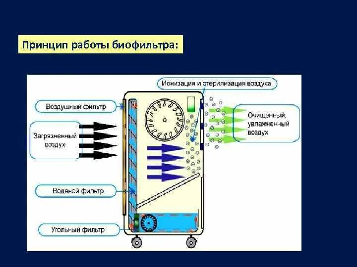 Принцип работы горячей. Биофильтр принцип работы. биофильтры для очистки воздуха. биофильтр для воздуха. принцип работы.