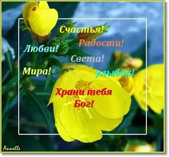 Хорошего дня и храни вас бог