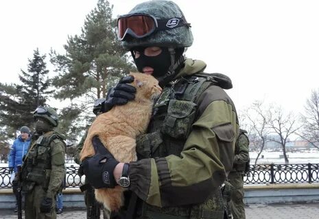 Вежливый умный опасный