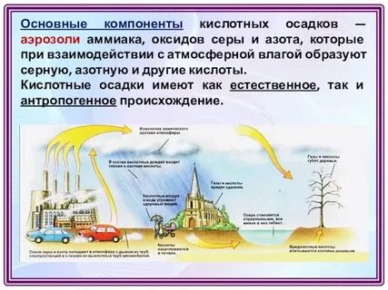 Сообщение на тему кислотные дожди