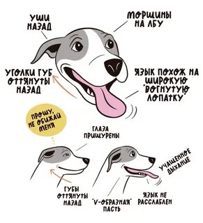 Собачий язык переводчик