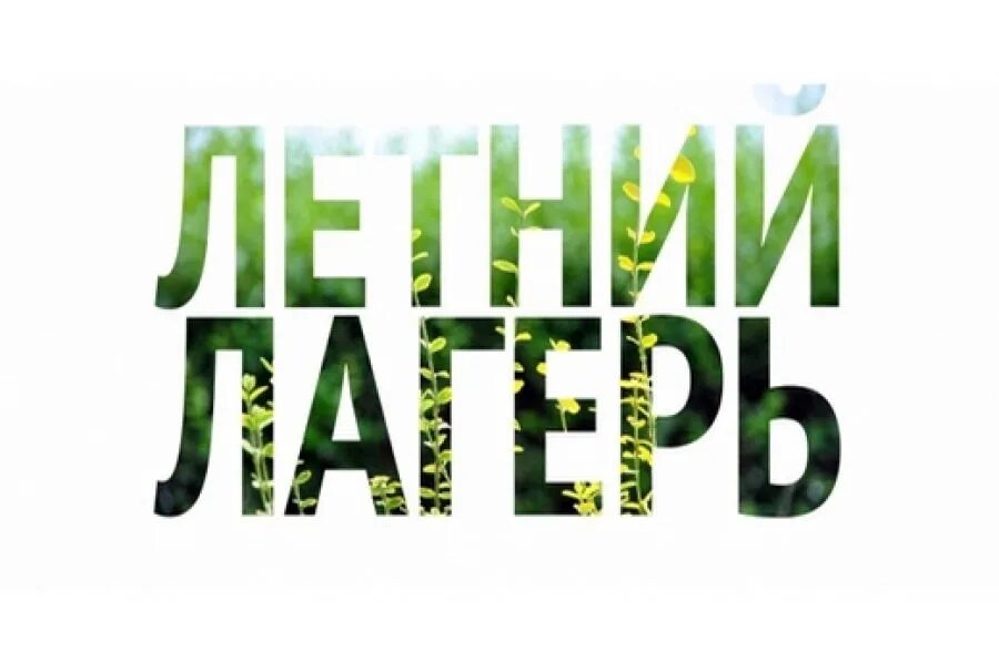 Слово camp. Лагерь надпись. Летний лагерь надпись. Красивая надпись лагерь. Школьный лагерь надпись.