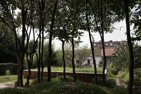 В глубине нашего двора жила необыкновенная