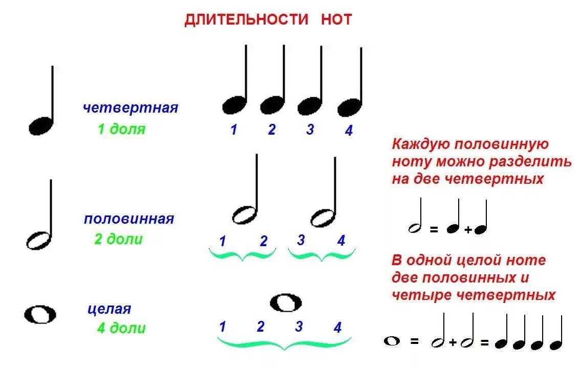 Музыкальная грамота уроки. Длительность нот фортепиано для начинающих. Длительности нот на нотном стане. Нотная грамота Длительность нот. Длительность нот фортепиано.