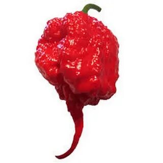 Коралина рипер
