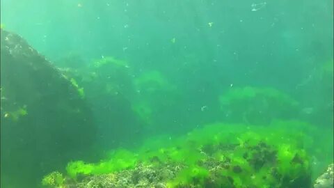 Черное море 24