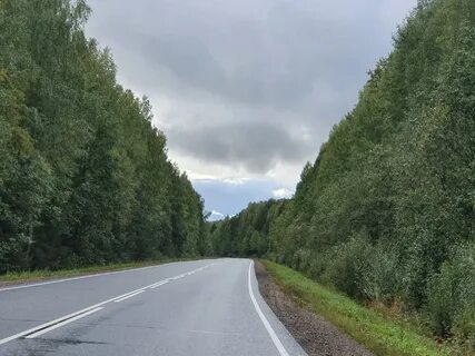 Дорога яранск