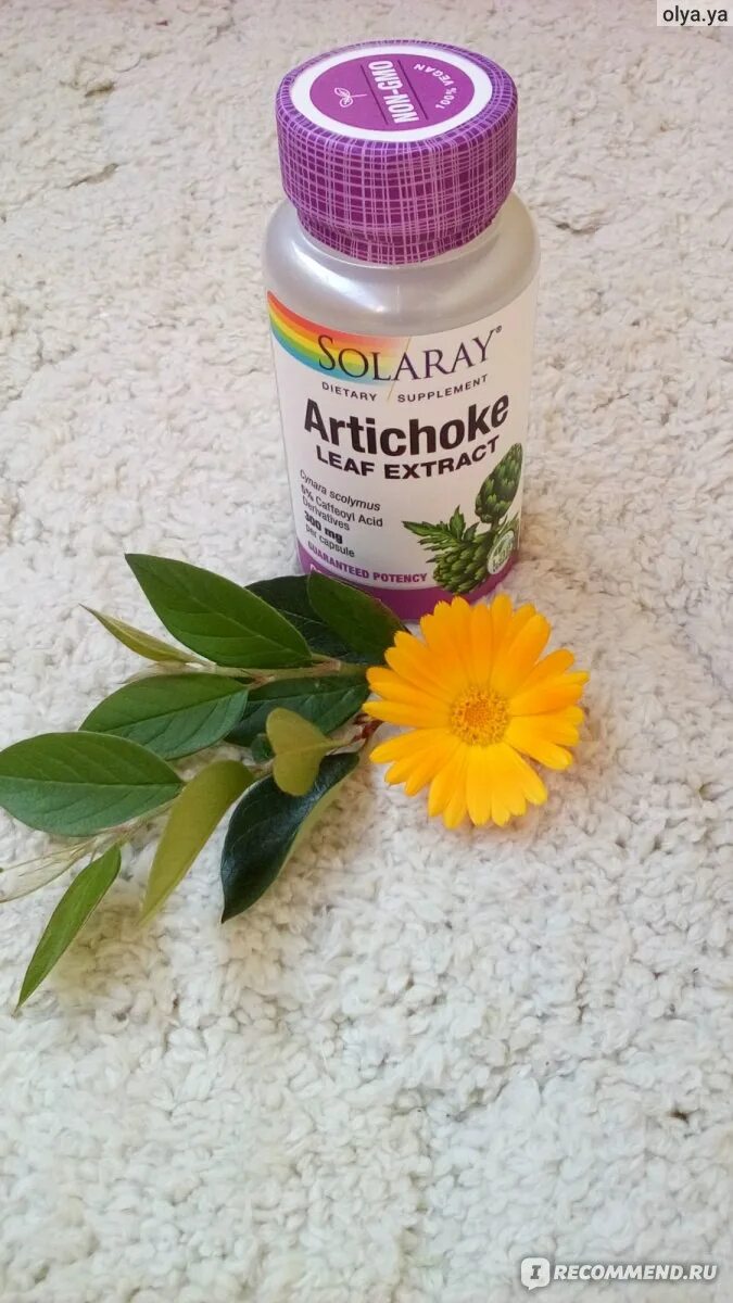 Рабочая добавка. БАД Solaray Artichoke Leaf extract.
