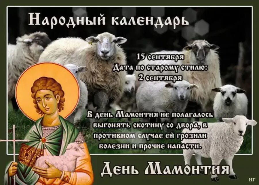 15 сентября. День мамонтия 15 сентября. 15 сентября мамонт овчарник. 15 сентября день мамонтия овчарник. народный календарь 15 сентября день мамонтия.