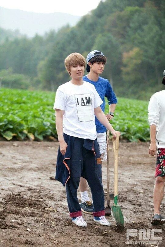 Современный фермер дорама постеры. Фермер дорама. Фермер дорама. Фермер дорама. Современный фермер дорама.