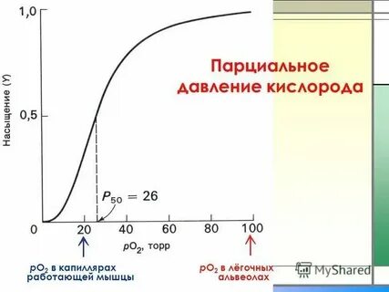 Парциальные молярные величины
