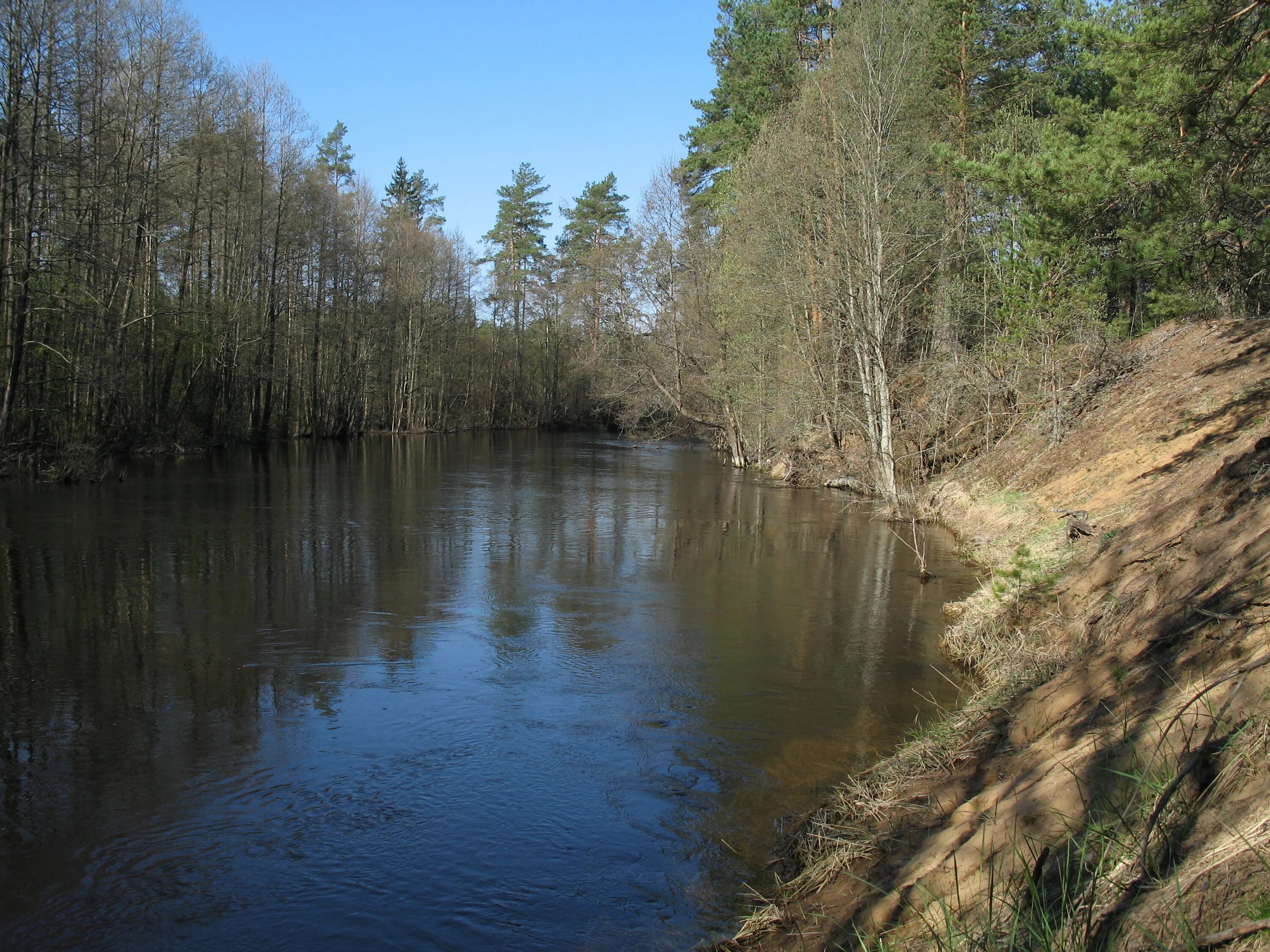 река великая псковская область. длина реки великая. псковская обл река великая. река великая псковская область. река великая псковская область.