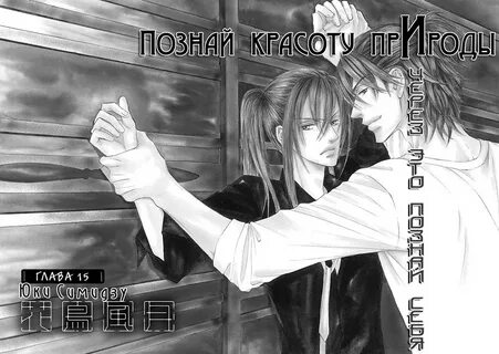 Сквозь небесную высь