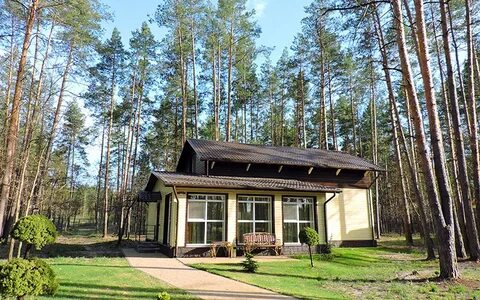 Бор брянск