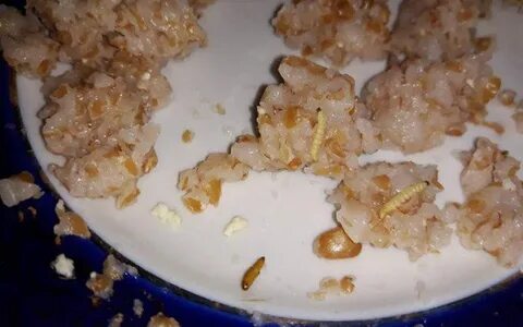 Случай с кашей