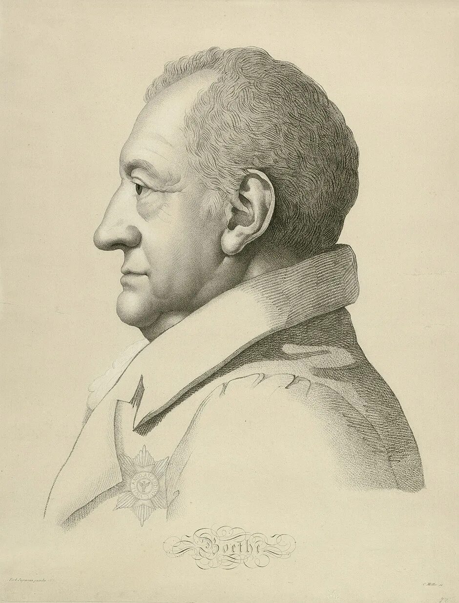 Профиль гете. Профиль гете. Исторические силуэты. Отец иоганна вольфганга гете. Каспар гете.