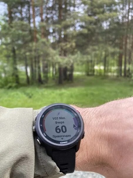 2 max q 2 max. Vo2 max гармин. vo2max garmin. vo2max garmin 245. garmin vo2max ходьба.