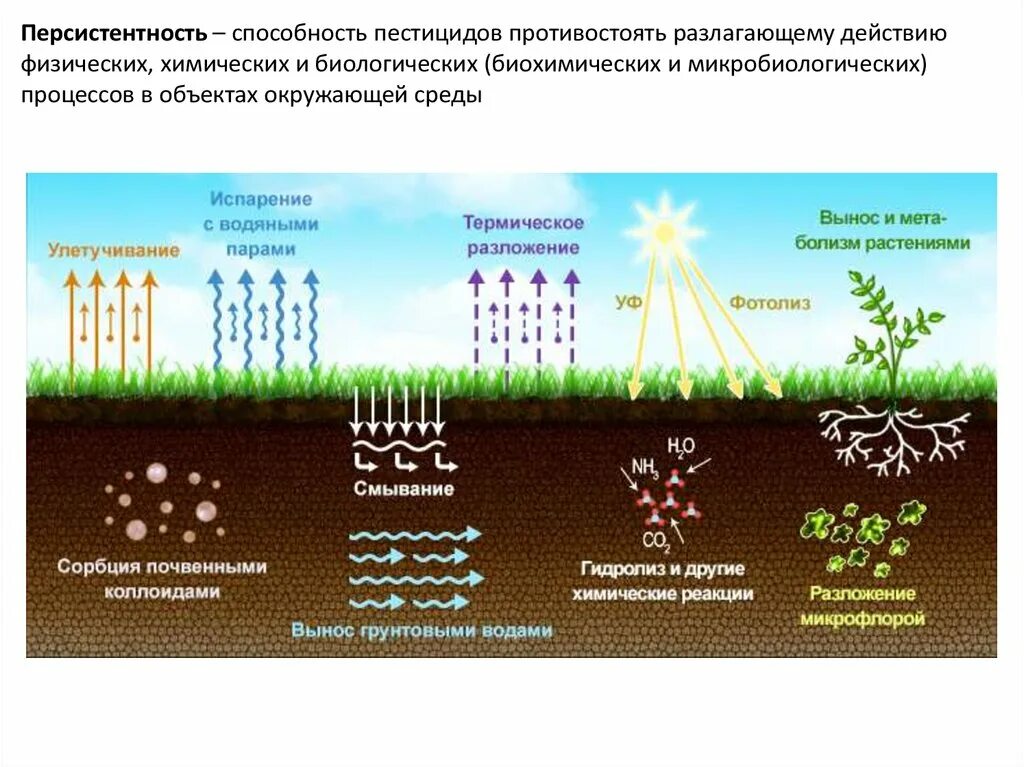 Интенсивность процесса испарения зависит от