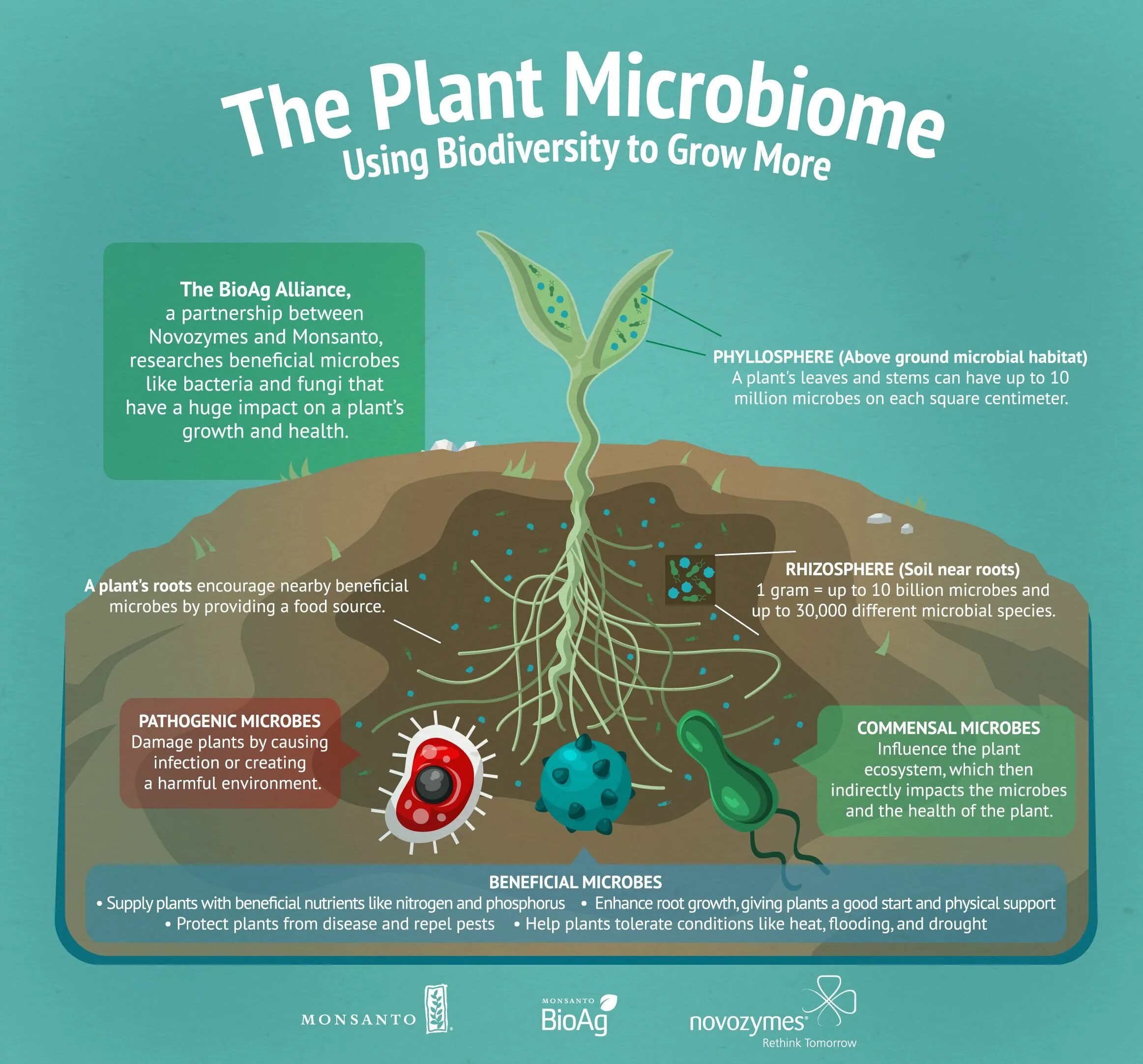 Plant impact