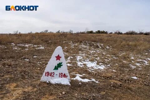 Полигон 24