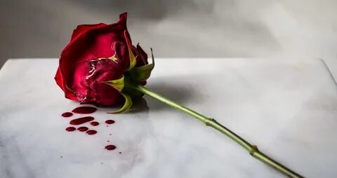 Ранимые цветы
