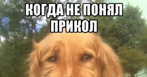 В смысле она не поняла
