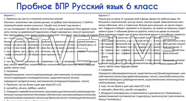 Когда полоска копотного пламени. ВПР русский язык 6 класс вариант 2 ответы. Пробный ВПР. ВПР по русскому языку 6 класс с ответами. ВПР по русскому языку за 6 класс.