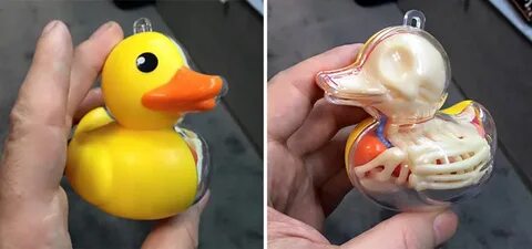 Вещи для утки