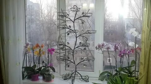 Подставки для цветов орхидей